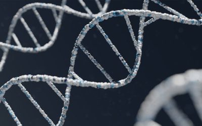 Wat is epigenetica?