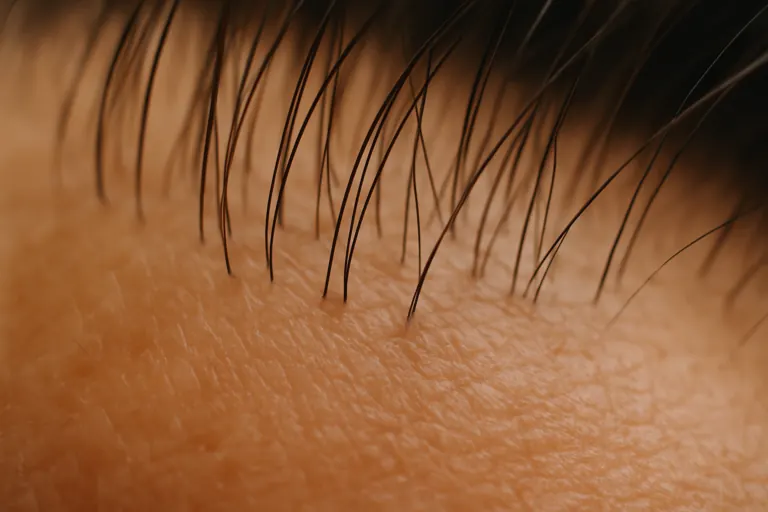 Gezonde haargroei vanuit de haarfollikel, gerelateerd aan spermidine en celvernieuwing