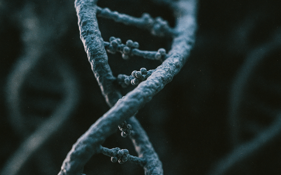 Methylatie op DNA-streng: biochemisch proces dat veroudering beïnvloedt
