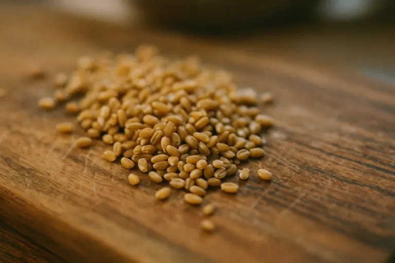 Tarwekiemen als natuurlijke bron van spermidine, de basis voor spermidine dosering